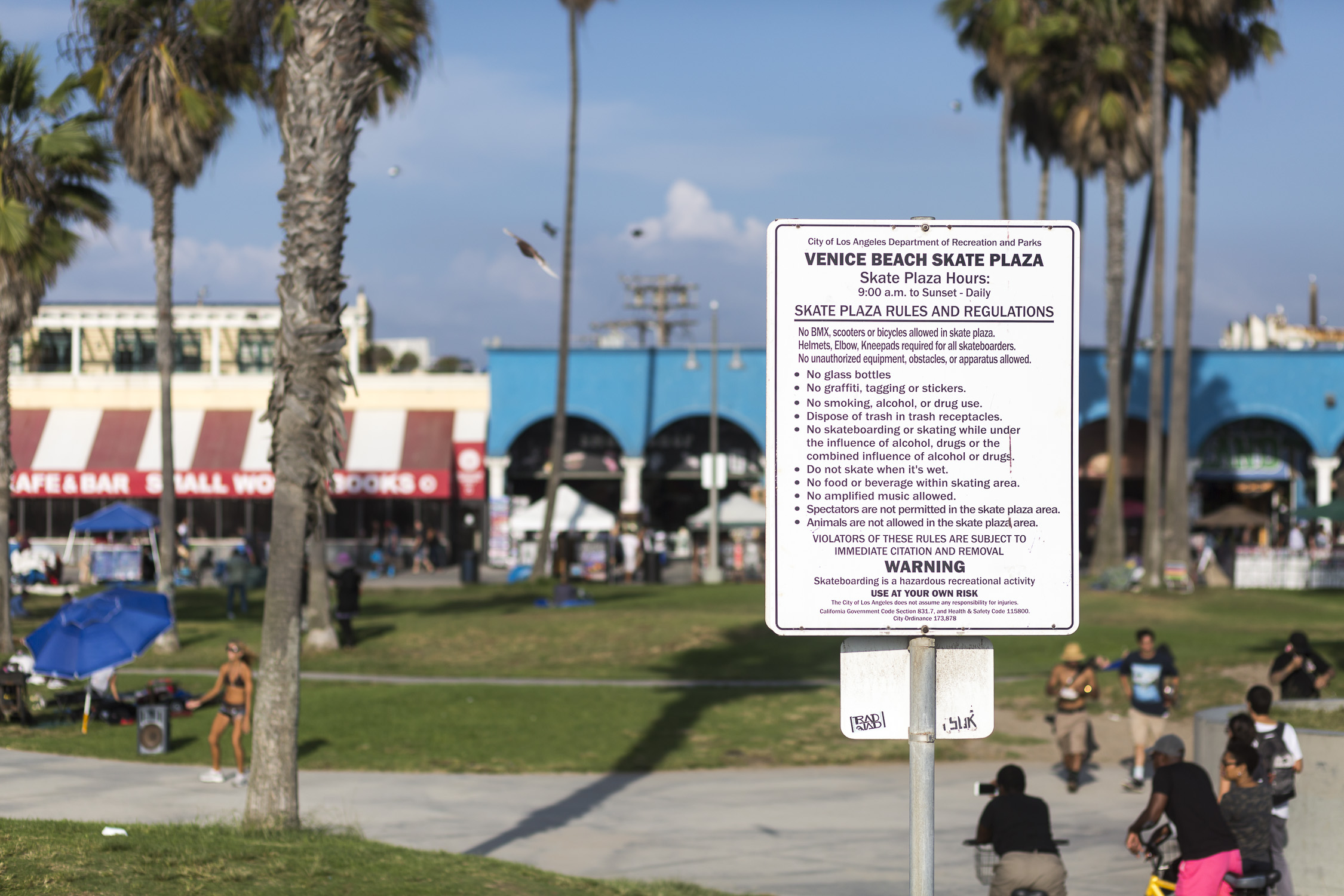 Portfolio(20151018 – Skater Venice Beach Skate Park – 44)