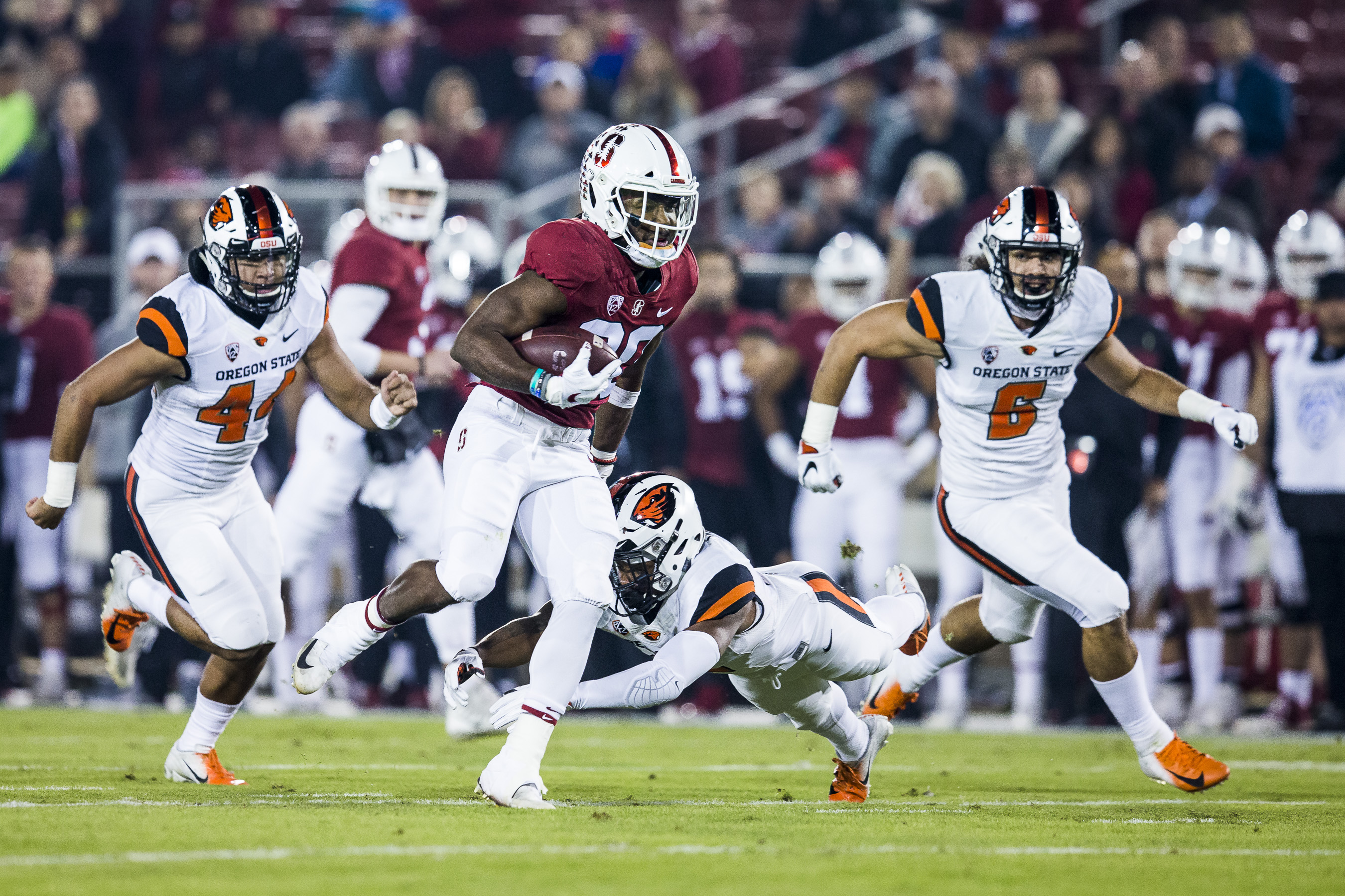 Portfolio(20181110 – Football Stanford – Oregon State – 130)